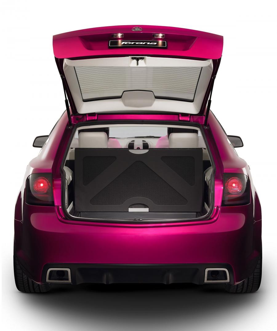 Holden Torana TT36 Concept 2004 года  (фото 43 из 59)